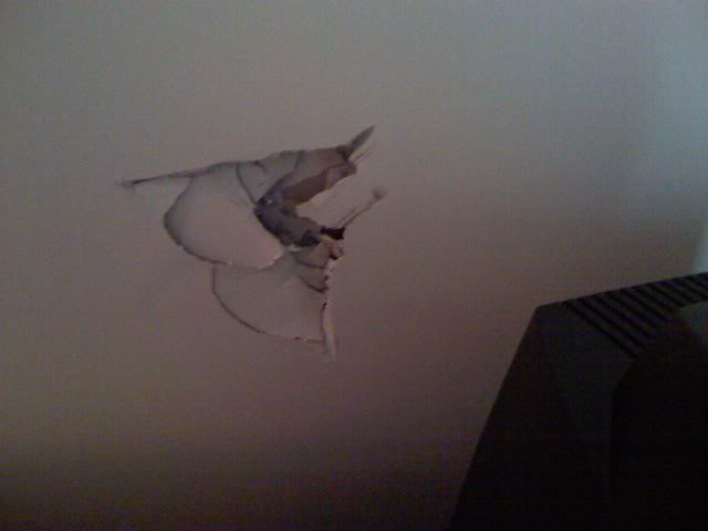 click to enlarge the image